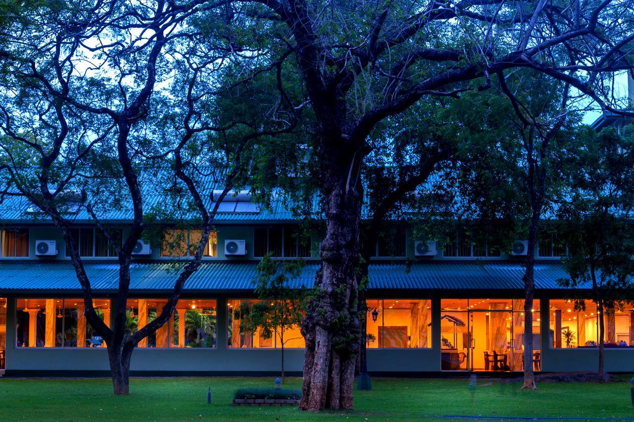 Hotel Sudu Araliya Polonnaruwa Exterior foto